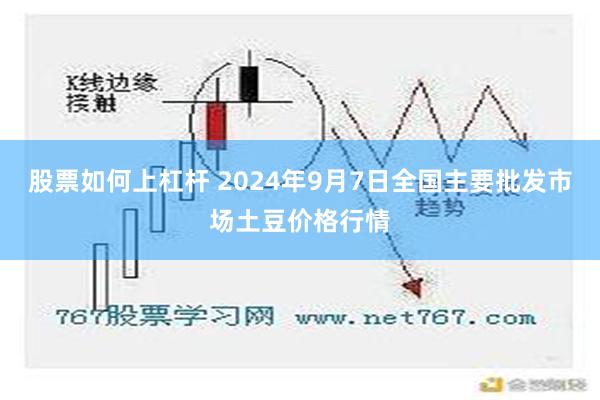 股票如何上杠杆 2024年9月7日全国主要批发市场土豆价格行情