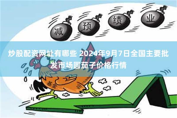 炒股配资网址有哪些 2024年9月7日全国主要批发市场圆茄子价格行情