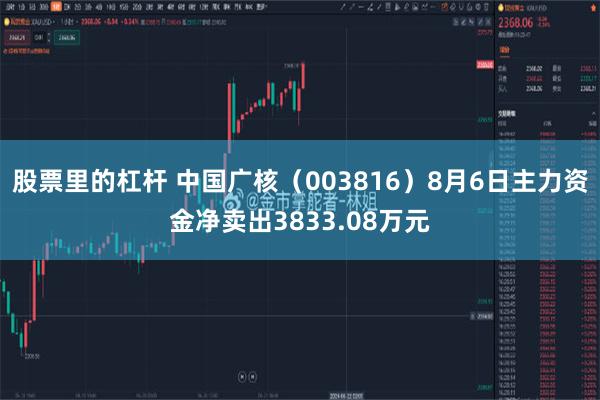 股票里的杠杆 中国广核（003816）8月6日主力资金净卖出3833.08万元