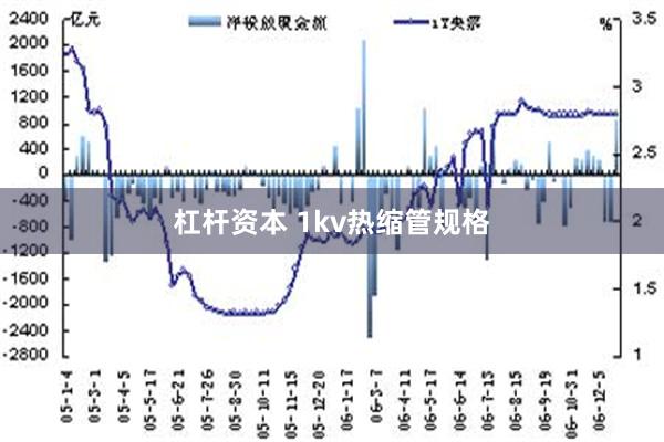 杠杆资本 1kv热缩管规格