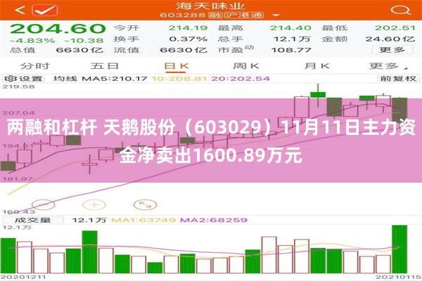 两融和杠杆 天鹅股份（603029）11月11日主力资金净卖出1600.89万元